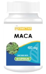 MACA